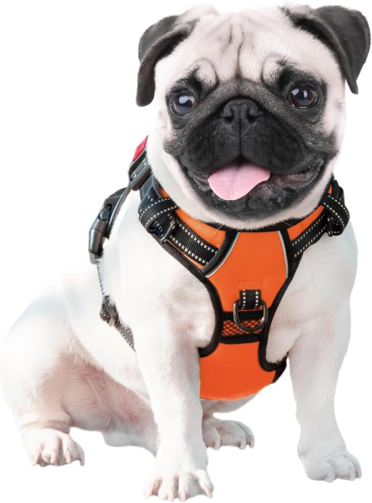 Dog wearing PHOEPET reflective no-pull harness for comfortable, controlled walks.