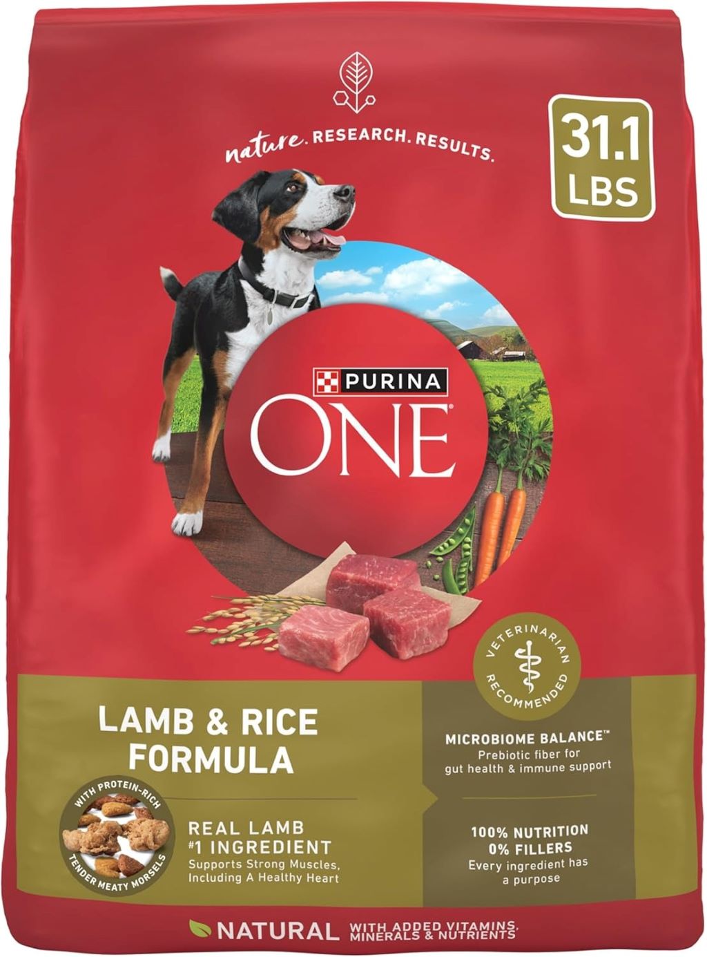 Purina ONE Lamb and Rice dry dog food in a 31.1 lb bag with lamb as the first ingredient