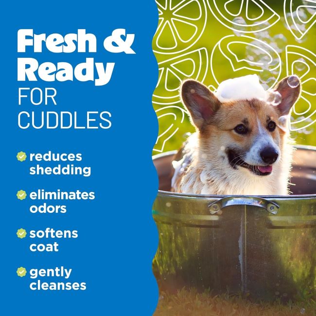 TropiClean 20oz dog shampoo for fast shedding control and coat softening.