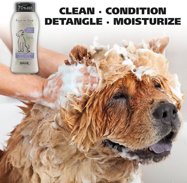 Dog being bathed with Wahl 4-in-1 Lavender Chamomile Shampoo, showing rich lather and a calm expression.