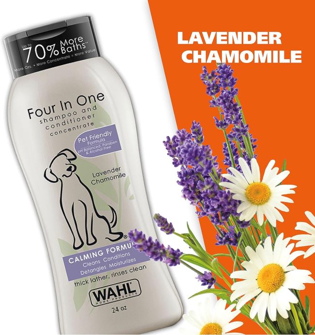 Close-up of Wahl USA 4-in-1 Calming Dog Shampoo bottle, highlighting “Cleans, Conditions, Detangles & Moisturizes” on the label.