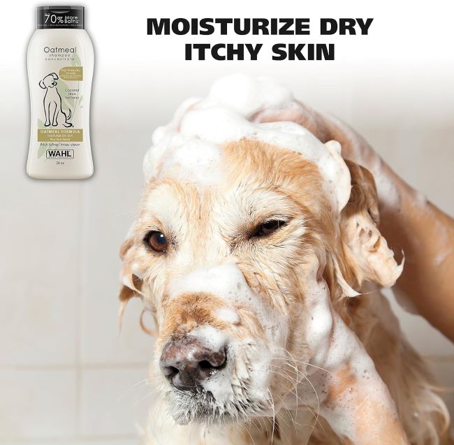Wahl Dry Skin & Itch Relief Dog Shampoo with oatmeal and coconut lime verbena, 24 oz bottle on a clean background.