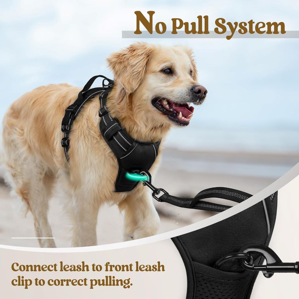 Adjustable Rabbitgoo dog harness with two leash clips and easy control handle for big dogs.