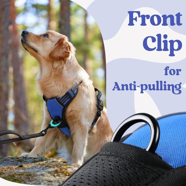 No-pull Rabbitgoo dog harness with three buckles, control handle, and soft vest for medium dogs.