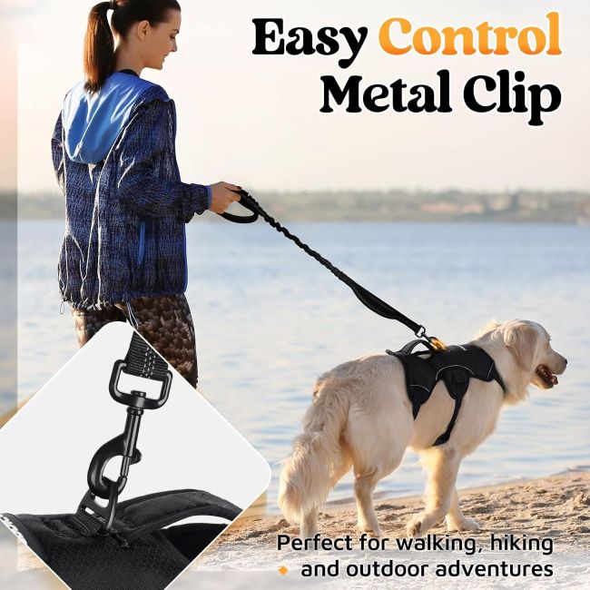 Adjustable no-pull full-body dog harness with lift handle and leash clip for large dogs