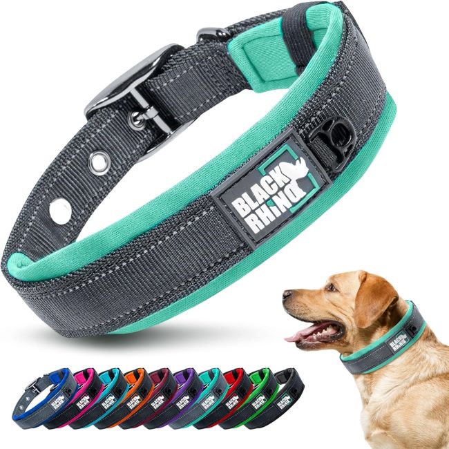Black Rhino Dog Collar Review: Durable, Reflective & Comfortable for Large Dogs