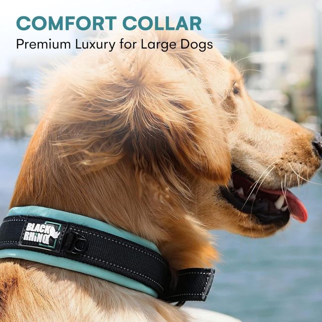 Adjustable Black Rhino collar providing comfort and safety for large dogs