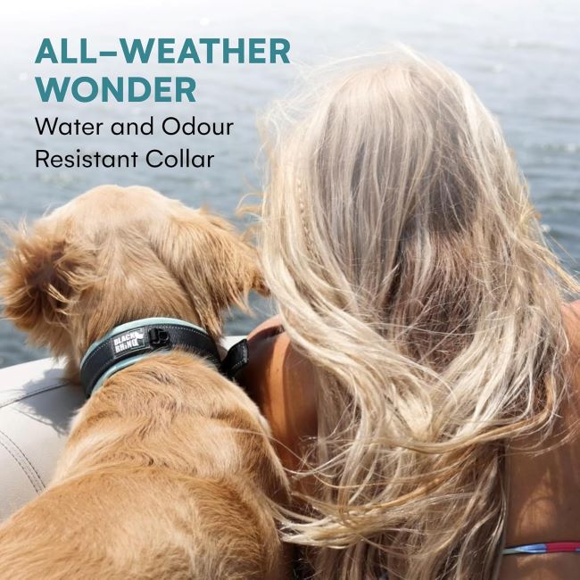 Durable, weatherproof Black Rhino dog collar for active big dogs