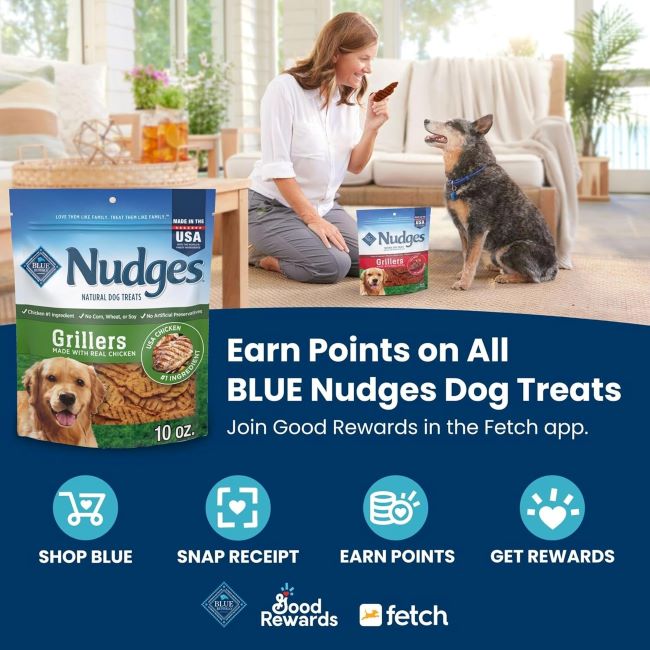 Pack of Blue Buffalo Nudges Grillers steak-flavored dog treats, made in USA, natural and tasty