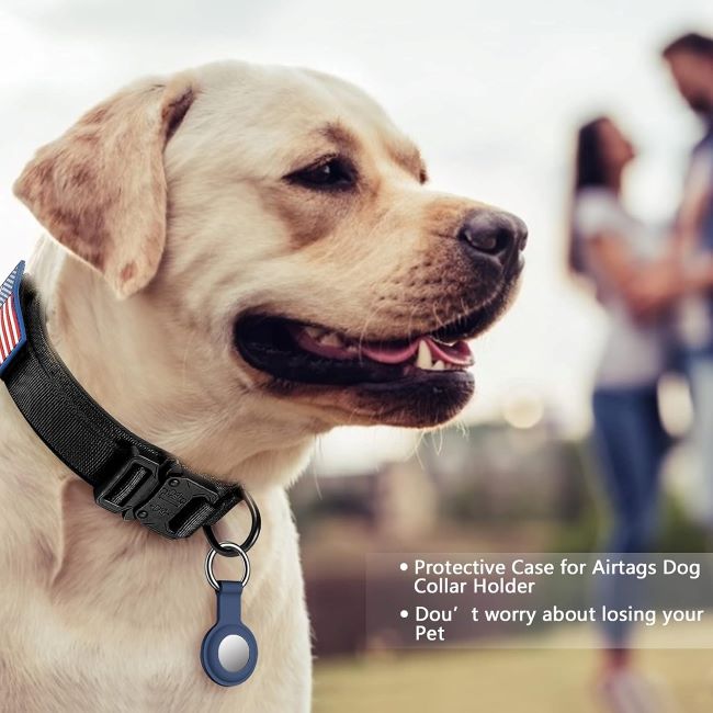 Black military-style nylon dog collar for active medium and large dogs
