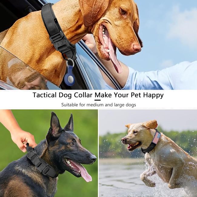 Heavy-duty tactical dog collar featuring control handle and durable hardware