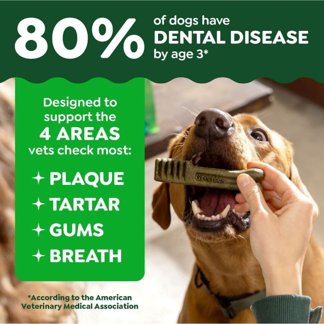 Vet-recommended Greenies dental chews for adult dogs, 36-count box
