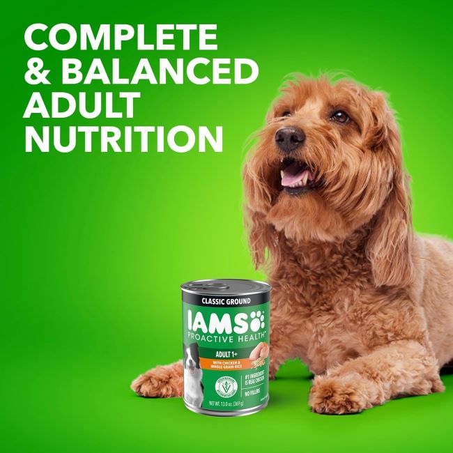Canned wet dog food for adults by IAMS, chicken and rice formula, 12 cans