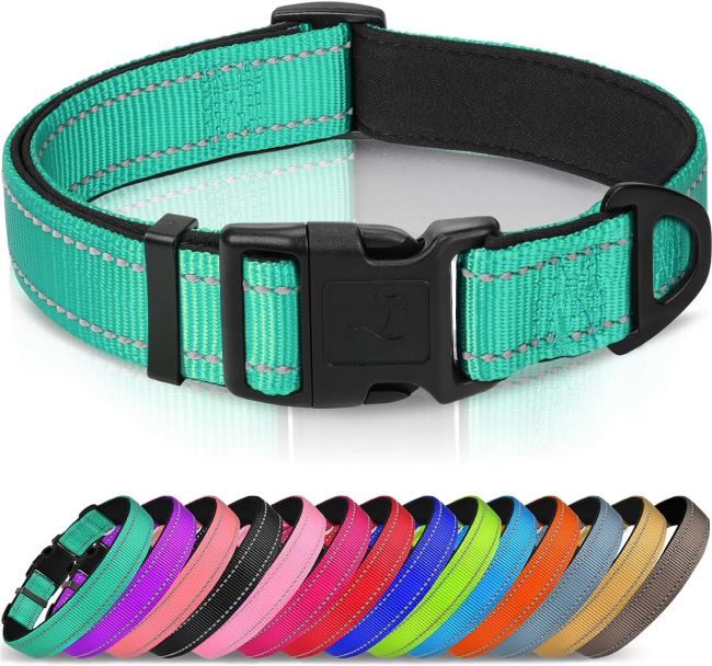 Large teal Joytale reflective dog collar with soft neoprene padding and metal D-ring