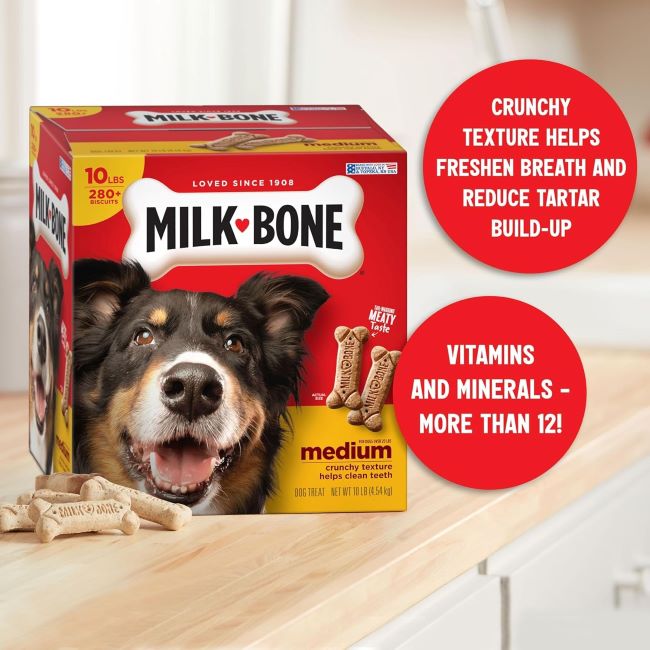 Happy medium-sized dog enjoying Milk-Bone Original dog treats