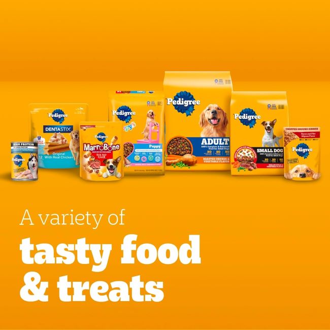 Bowl of Pedigree Choice Cuts beef wet dog food served for adult dogs