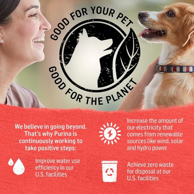 Pack of 12 Purina Beyond wet dog food cans with beef and vegetables