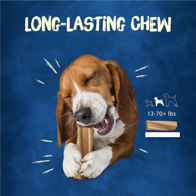 Tasty peanut butter dog chews from Purina Busy Bone, 10-count