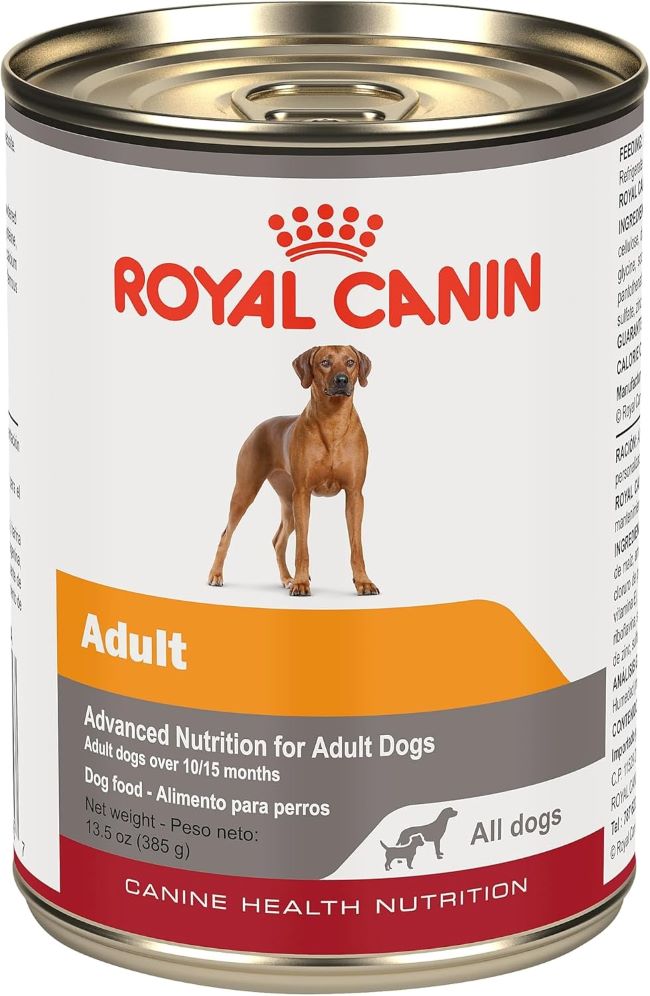 Royal Canin Adult In-Gel Dog Food 12-Pack – Healthy wet dog food for adults.