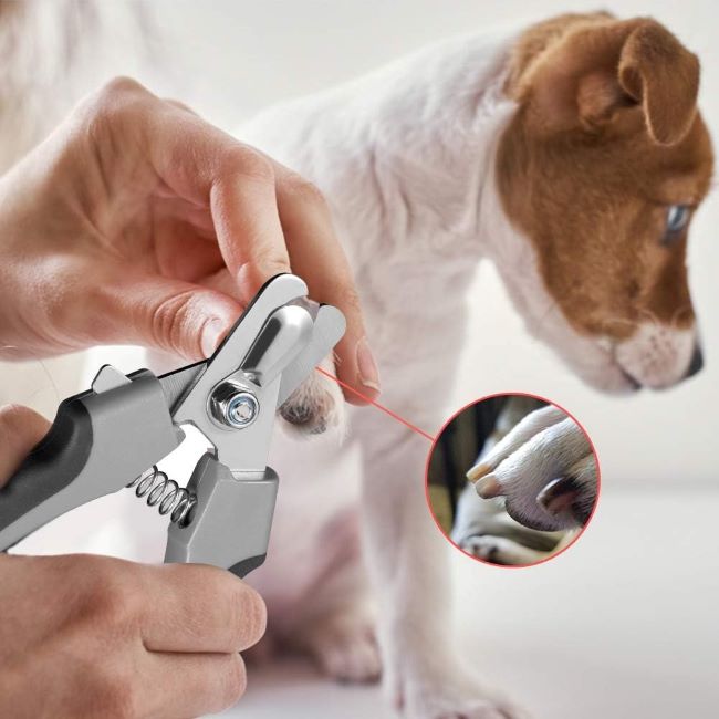 Professional dog nail trimmer for large dogs with safety protection and sensor