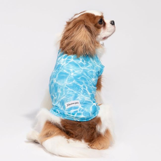 Fitwarm UPF 50+ Dog Cooling Shirts 2-Pack – Lightweight Quick-Dry Summer Dog Clothes