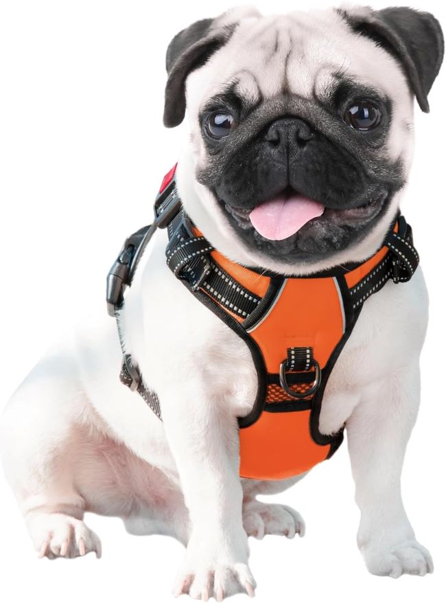 PHOEPET medium dog no-pull harness, reflective front clip vest, adjustable with 2 metal rings and 3 buckles, orange