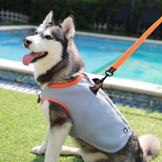 juxzh Truelove Dog Cooling Vest Harness – Adjustable Zipper Cooling Jacket for Outdoor Training and Camping