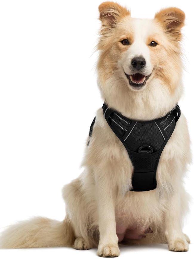 rabbitgoo no-pull dog harness, medium size, soft padded reflective Oxford vest with 2 leash clips and control handle, black