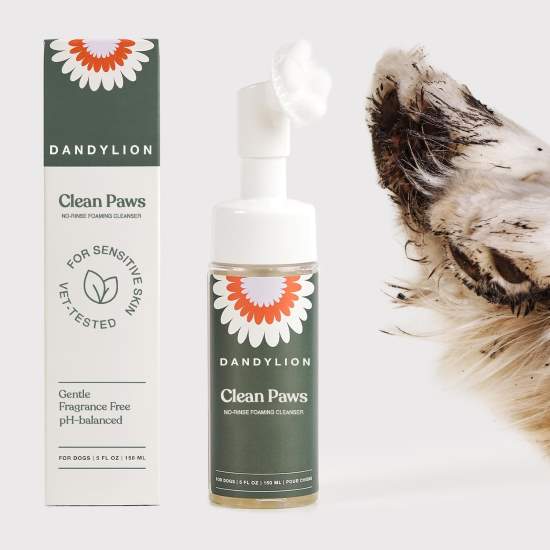 Dandylion Clean Paws No Rinse Dog Paw Cleaner