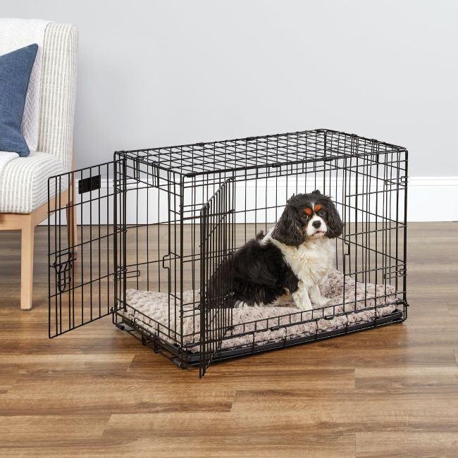 MidWest Homes for Pets 30 inch iCrate double door folding dog crate with divider panel and leak-proof tray for medium dogs