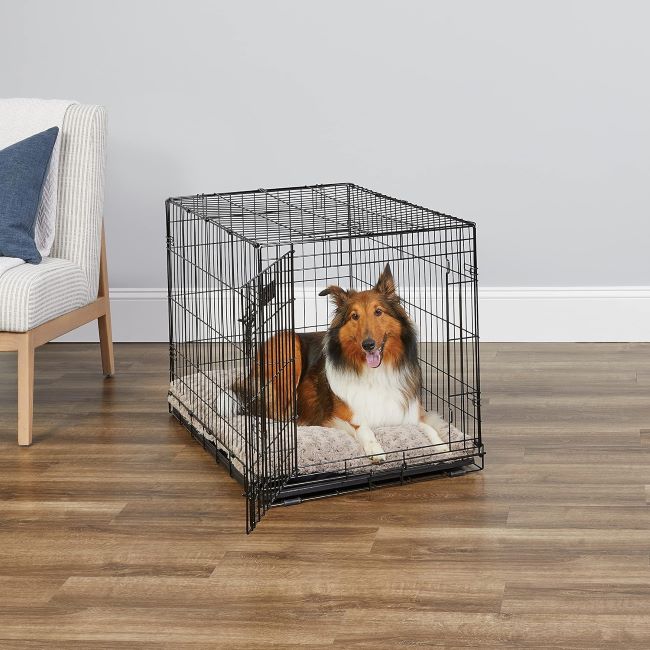 MidWest Homes for Pets 36 inch iCrate single door folding dog crate with divider panel and leak-proof tray for medium large dogs