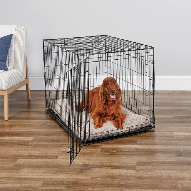 MidWest Homes for Pets 42 inch iCrate single door folding dog crate with divider panel and leak-proof tray for large breeds