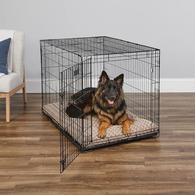 MidWest Homes for Pets 48 inch iCrate folding dog crate with secure latch, divider panel, and tray for extra large dogs