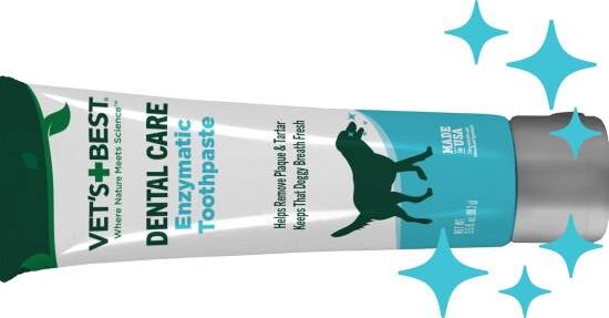 Vet's Best Enzymatic Dog Toothpaste