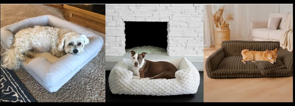 Dog resting on an orthopedic dog bed providing joint support and comfort for healthy sleep