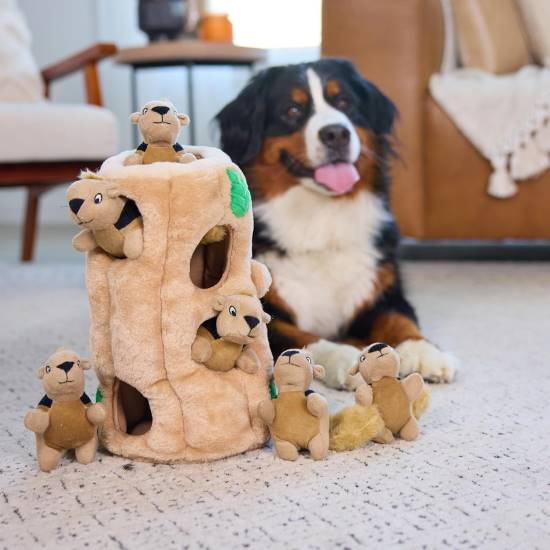 utward Hound Hide-A-Squirrel Puzzle Toy