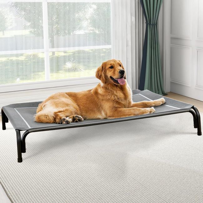 Czpalo elevated dog bed with breathable mesh, anti-skid feet, and tool-free assembly for large dogs