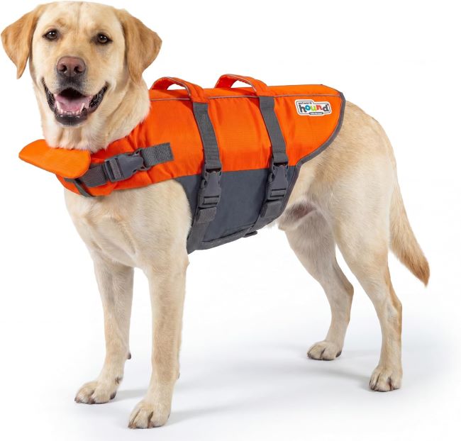 Outward Hound Granby Splash dog life jacket with high-visibility orange color and rescue handle